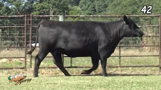 Lot 42, CAM Ashland T78 (19362369)