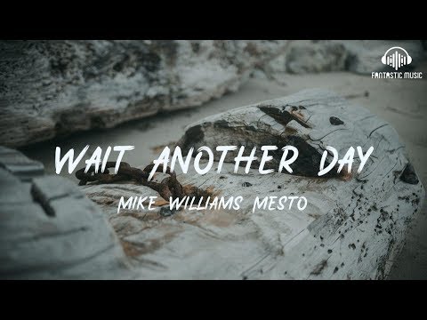 Mike Williams Mesto - Wait Another Day [ lyric ]