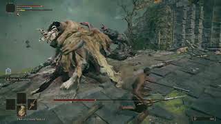 Margit,  the Fell Omen RL1 No Roll/Block/Parry/Jump/Skill [+3 somber]