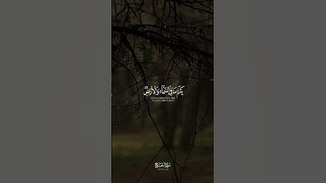 الم تعلم أن الله يعلم مافي السماء والأرض | القارئ أحمد الشافعي 🎙