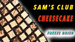 The Ultimate Sam’s Club Hack? Freeze Dried Miniature Cheesecakes! Ep459