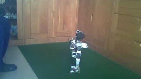 Bioloid Humanoid Equipped with Roboard