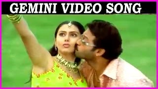 Gemini - Super Hit Telugu Video Song || Venkatesh | Namitha