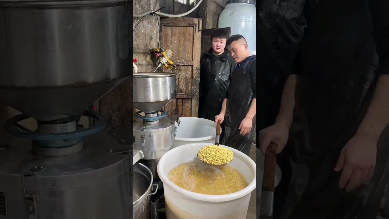 Transforming 500 lbs of Soybeans Daily: My Tofu Making Journey