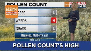 Pollen counts increasing in Arizona after all the rain last week