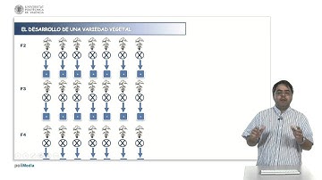 Métodos de selección con fijación previa a la selección | 20/28 | UPV