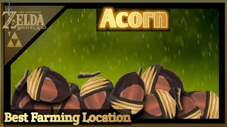 Acorn Farming Location-Zelda Breath of The Wild screenshot 3