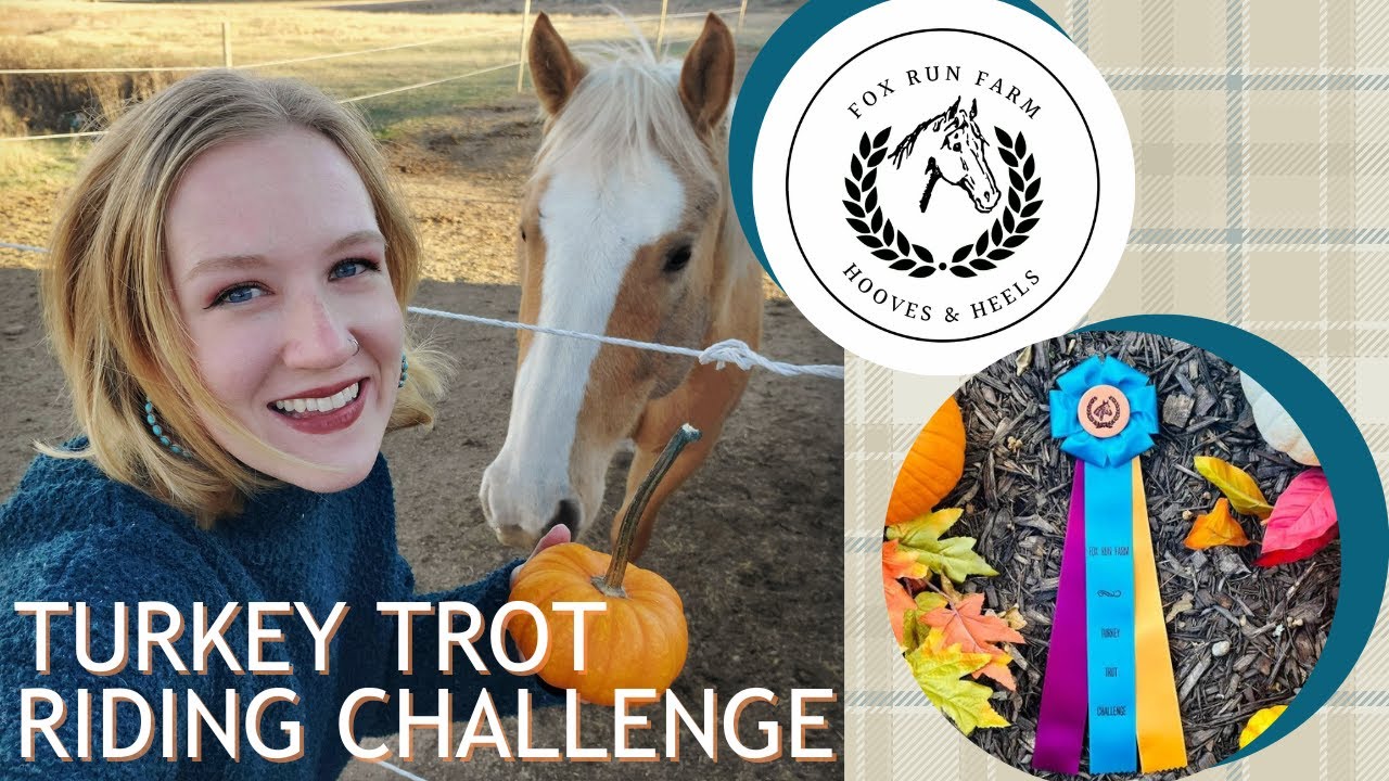 NEW Riding Challenge Series l Collab w/Fox Run Farm Events YouTube