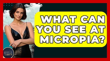 What Can You See At Micropia? - Exploring The Benelux