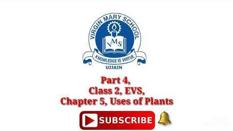 Part 4,  Class 2, EVS, Chapter 5, Uses of Plants