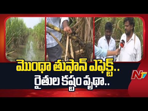 Sangareddy | మొంథా తుఫాన్ ఎఫెక్ట్.. మోకాళ్ళ లోతు నీటిలో చెరుకు పంట..! | NTV Telugu - NTVTELUGU