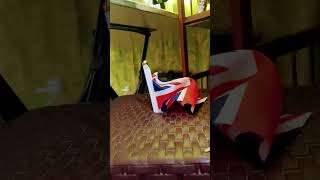 how to trap uk