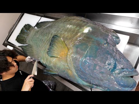 Video: Il tonno ha le squame?