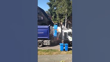 The way they collect rubbish in the Netherlands#Shorts