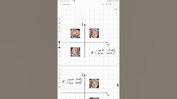 Affine transformation. Mathematics IB AI HL
