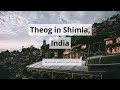 Theog shimla guide  what to do when to visit how to reach cost  tripspell