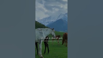 وَالْأَنْعَامَ خَلَقَهَا ۗ لَكُمْ فِيهَا دِفْءٌ وَمَنَافِعُ | سورة النحل | شيرزاد طاهر