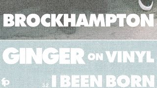 BROCKHAMPTON - I BEEN BORN AGAIN (Vinyl - 33)