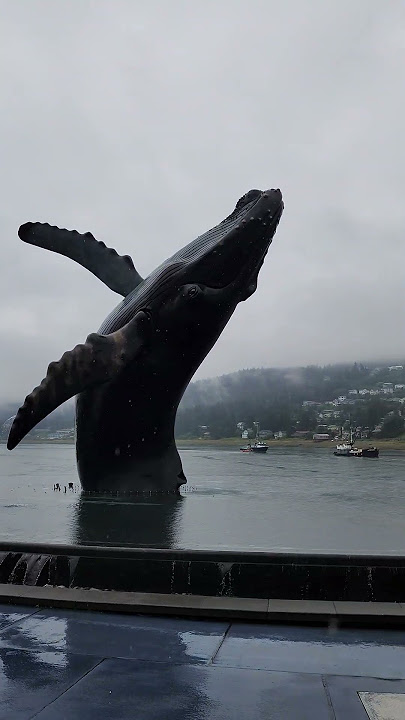 Juneau Whale!