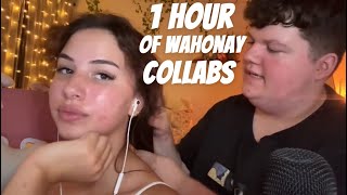 ASMR 1 Hour Of Wahonay Collabs ✨