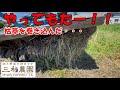 トラクターのロータリーが枯草を大量に巻き込んだ・・。NO528(2022.9.6)