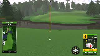 Golden Tee Great Shot on Alpine Run!