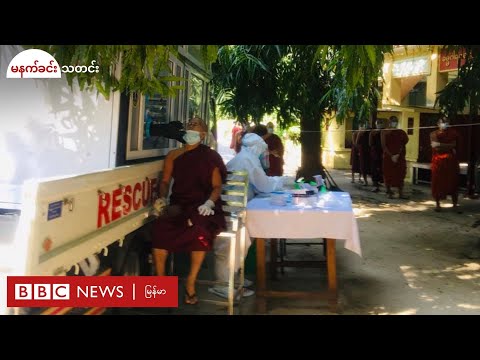 သံဃာအပါး ၈၀ နီးပါး ပိုးတွေ့ထားတဲ့ မစိုးရိမ် တိုက်သစ်မှာ အနံ့ပျောက် သံဃာတွေ ရှိနေ - BBC News မြန်မာ