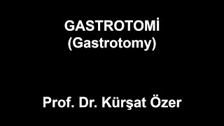 Gastrotomi Gastrotomy
