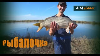 :    .  .    . ,  ( ).