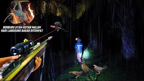 Berburu Ayam Hutan Malam Hari Diterpa Hujan Deras Semalaman ! Berburu Di Pedalaman Perkebunan Sawit