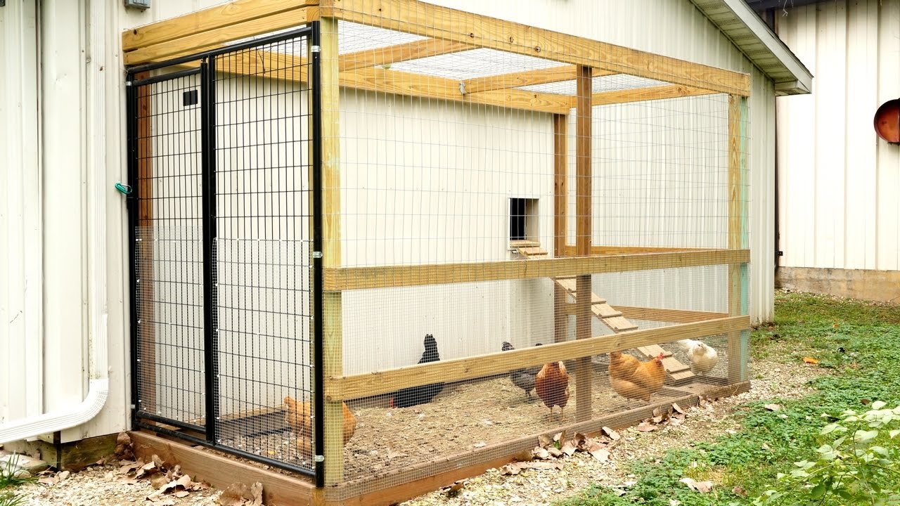 How We Made Our Chicken Coop Run! - YouTube