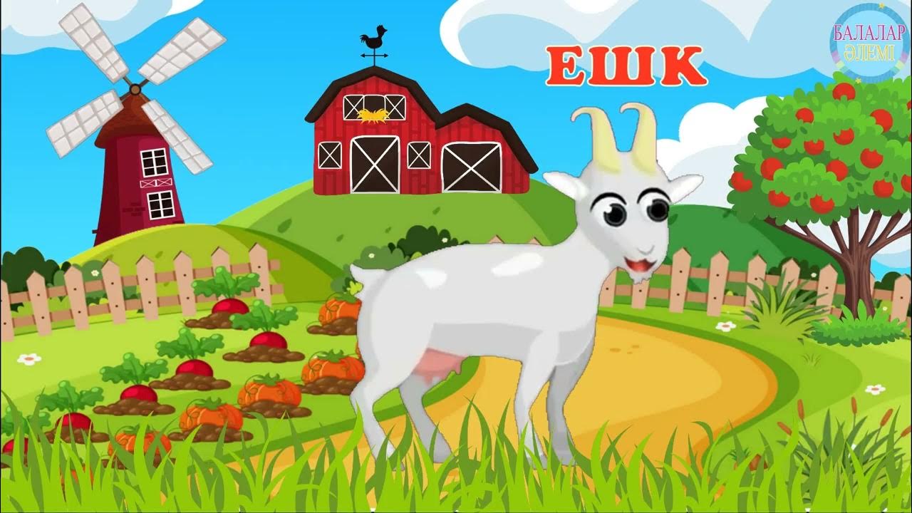 Күйеуін байлап тастапты, əйелін бляды.