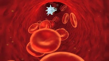 Blood Flow with Cinema 4D Thinking Particles