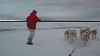 Running with the Dogs back to Igloolik