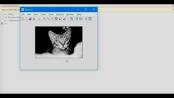 Application of 2D convolution via MATLAB