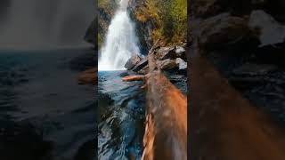 😍amazing nature short ❤#viral