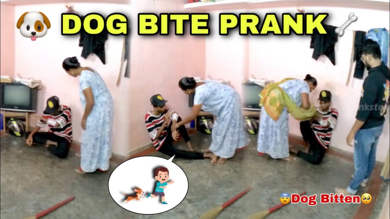 🐶DOG BITE PRANK🦴On MOM🤣 | Tamil Prank | Prankster Surya |