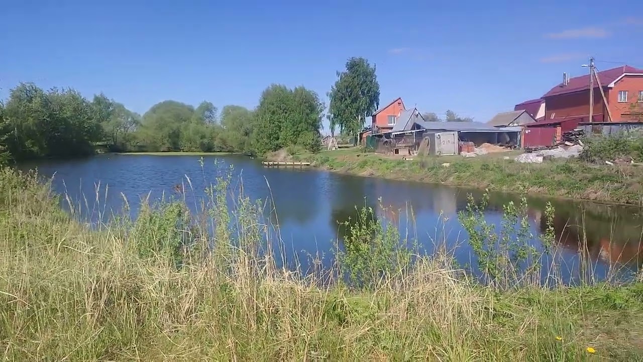Информация о рыбалке на Поповском пруде в Раменском