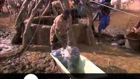 Ray Zahab - Ultramarathon Runner & Adventurer