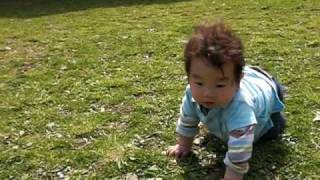 Defhvsjn Mlvs,Flerwpoibvmld,Dlqw