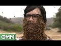 ¡10,000 abejas en la cara!