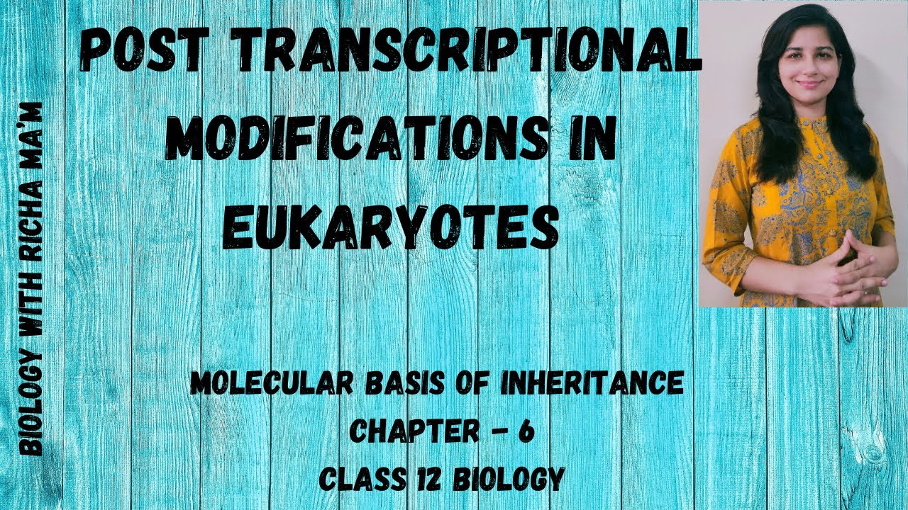 POST TRANSCRIPTIONAL MODIFICATIONS | INTRONS | EXONS | CAPPING | TAILING | NEET QUESTIONS