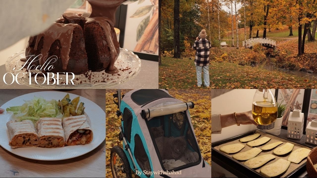 روتين خريفي 🍁 | كيكة الكاكاو بالشوكولا🍫 نزهة خريفية +وصفة غداء سهلة بالبيتنجان