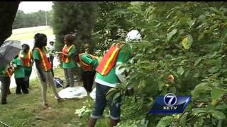 SummerWorks brings in several jobs for high school students Wealth