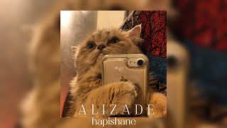 Alizade - Hapishane (speed up) Resimi