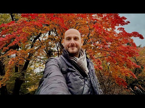 Autumn in Northeast Japan - My Tohoku Tour