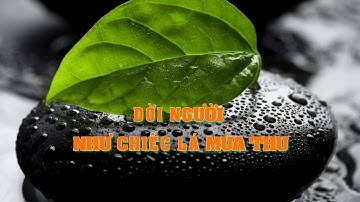 🎤 ĐỜI NGƯỜI NHƯ CHIẾC LÁ MÙA THU | ST: Ns. Trần Văn Trọng | TB: Cs. Hoàng Thái Quốc  Karaoke HD