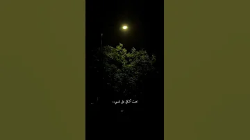 تعبت اذوب محتاجك Halat WhatsApp 