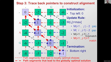 MIT CompBio Lecture 02 - DynamicProgramming (Part2)