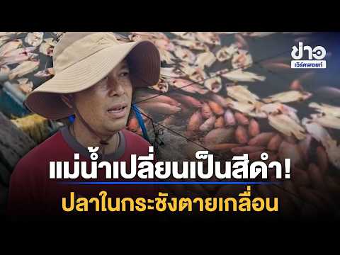 แม่น้ำเปลี่ยนเป็นสีดำ! ปลาในกระชังตายเกลื่อน